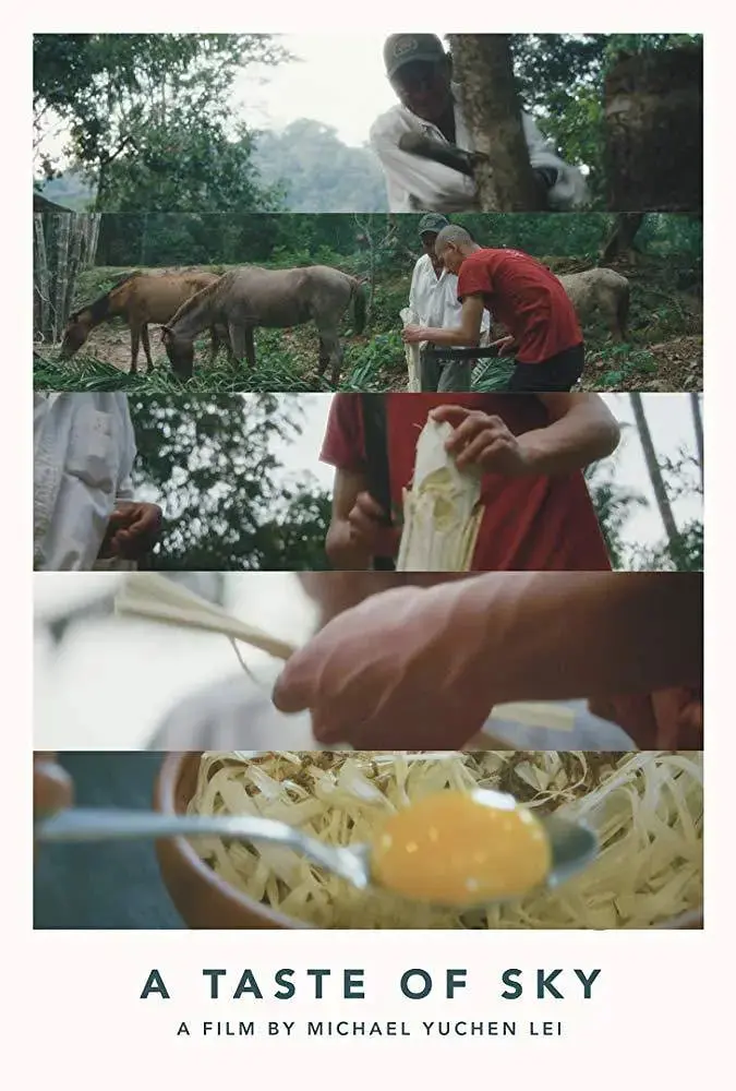 《天空的味道》：一场关于梦想与成长的味蕾冒险，致我们不曾放弃的飞翔