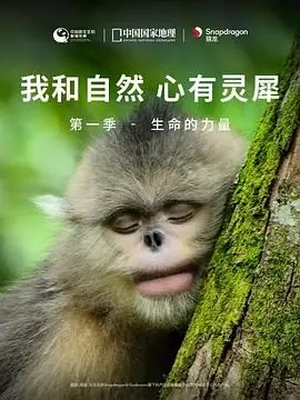 《我和自然 心有灵犀》第一季：感受生命的磅礴力量，探索地球的神秘奇迹